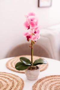 Mia Studio Apartment