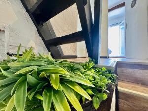 Appartements Ostalet Blau Climatise : photos des chambres