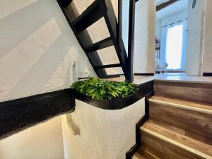 Appartements Ostalet Blau Climatise : photos des chambres