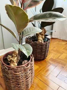 Encantador apt Veneza no centro com vaga coberta