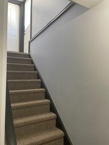Entire Apartment