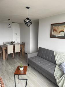 Departamento amoblado Concepción