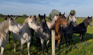 Watervalley Farm Self Catering