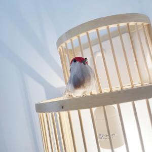 Appartements Chalet Aux Oiseaux - by La Boite en Plus : photos des chambres