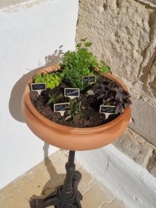 Logement entier indépendant- 2 à 4 pers - Parking clos - Terrasse