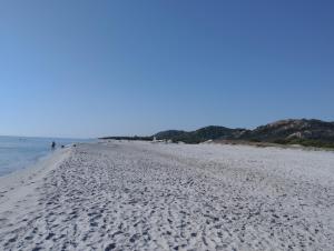 La Terrazza In Centro Dorgali img43