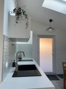 Zenith spacious studio in a central and quiet area near Basel