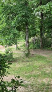 Maisons d'hotes Chateau de Pourpry : Chambre Double - Vue sur Jardin