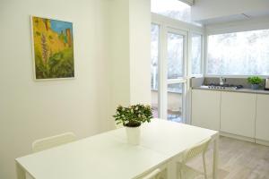 Art & Garden Gemelli - Metro A - Vaticano