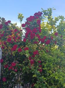 Gîte Terre Pugetvilla