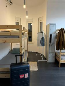 Brodskys Cat Art Hostel