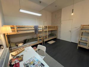Brodskys Cat Art Hostel