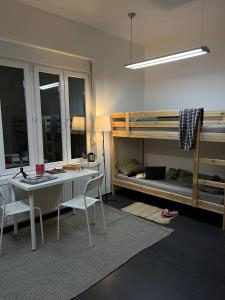 Brodskys Cat Art Hostel