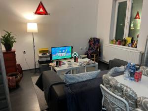 Brodskys Cat Art Hostel