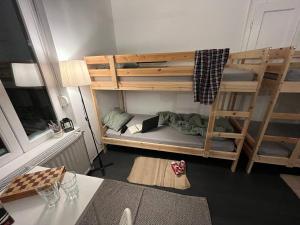 Brodskys Cat Art Hostel