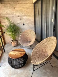 Jiloo Beautiful Oasis in Punta Zicatela 2