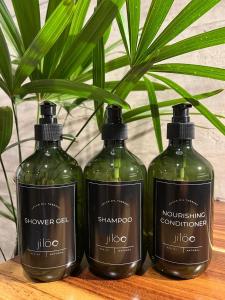 Jiloo Beautiful Oasis in Punta Zicatela 2