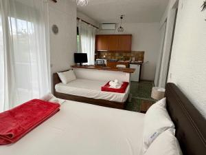 PELEKAN rooms and apartments ATHINA 22