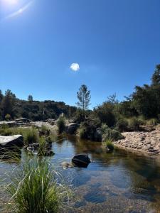 Rio Dorado Resort