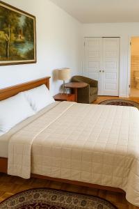 Chic 3BR Stay in Laval, Bright and Peaceful
