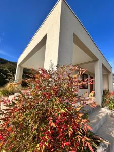 Casa Lolol Colchagua