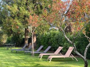 Appartements Le Hetre Rouge Charme & Spa Alsace : photos des chambres