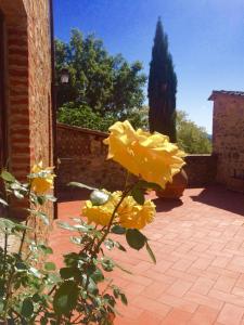 Appartamento Superior