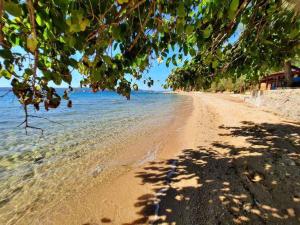 Apartment in Turanj - Biograd Riviera 53922