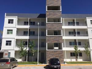 Departamento Durango Jade