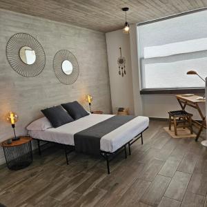 Loft Tequis