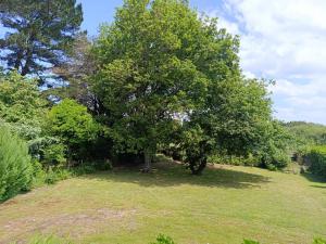 Maisons de vacances Maison calme pres plage Govelins, jardin, BBQ, equipements modernes, ideal familles - FR-1-639-47 : photos des chambres