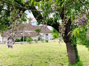 Maisons de vacances Gite du Marais - Proche Chambord, Wifi, Animaux admis, Parking prive - FR-1-491-467 : photos des chambres