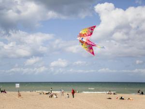 Appartements Appartement lumineux a Cabourg, 4 personnes, au coeur de la ville - FR-1-788-70 : photos des chambres