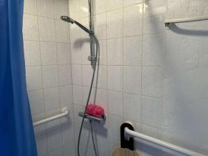 Maisons de vacances Maison 3 pieces pres de la mer a Bretignolles-sur-Mer - FR-1-224A-76 : photos des chambres