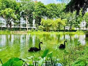 Nhà của Hải - 2BR Emerald Celadon City Aeon Mall Tân Phú