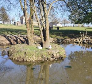 Campings La Billardiere Camping a la Ferme : photos des chambres