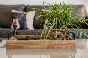 A Beary Good Getaway condo