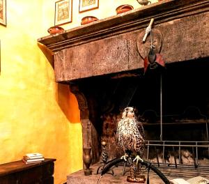 Casa del Falco