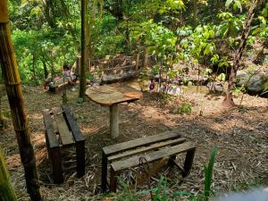 Campamento equipado de bosque