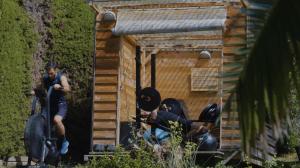 B&B / Chambres d'hotes La Colline de Vence : photos des chambres