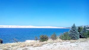35 meters from sea Apartment Keser and House for rent