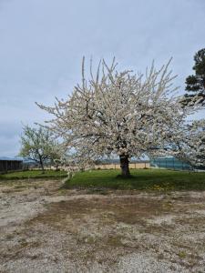 Loft touristique 3 étoiles