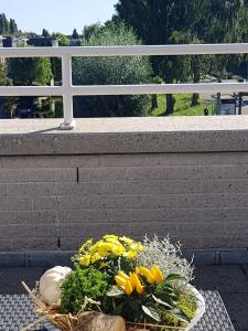 Lil Amsterdam Topfloor a room ensuite with balcony