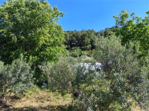 Tentes de luxe Yachting lodge 83 : photos des chambres