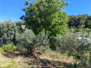 Tentes de luxe Yachting lodge 83 : photos des chambres