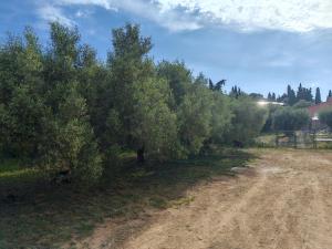 Tentes de luxe Yachting lodge 83 : photos des chambres