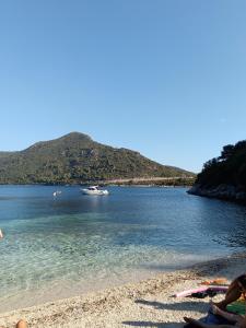 Studio apartment Dragana