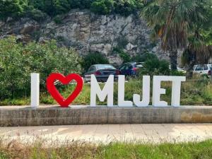 Studio apartment Dragana