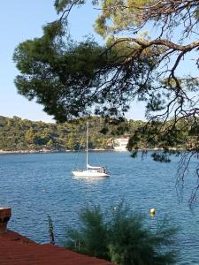 Studio apartment Dragana