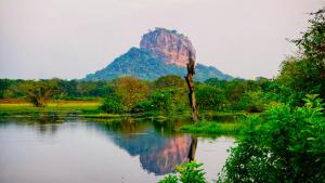 Jungle Edge Home Sigiriya